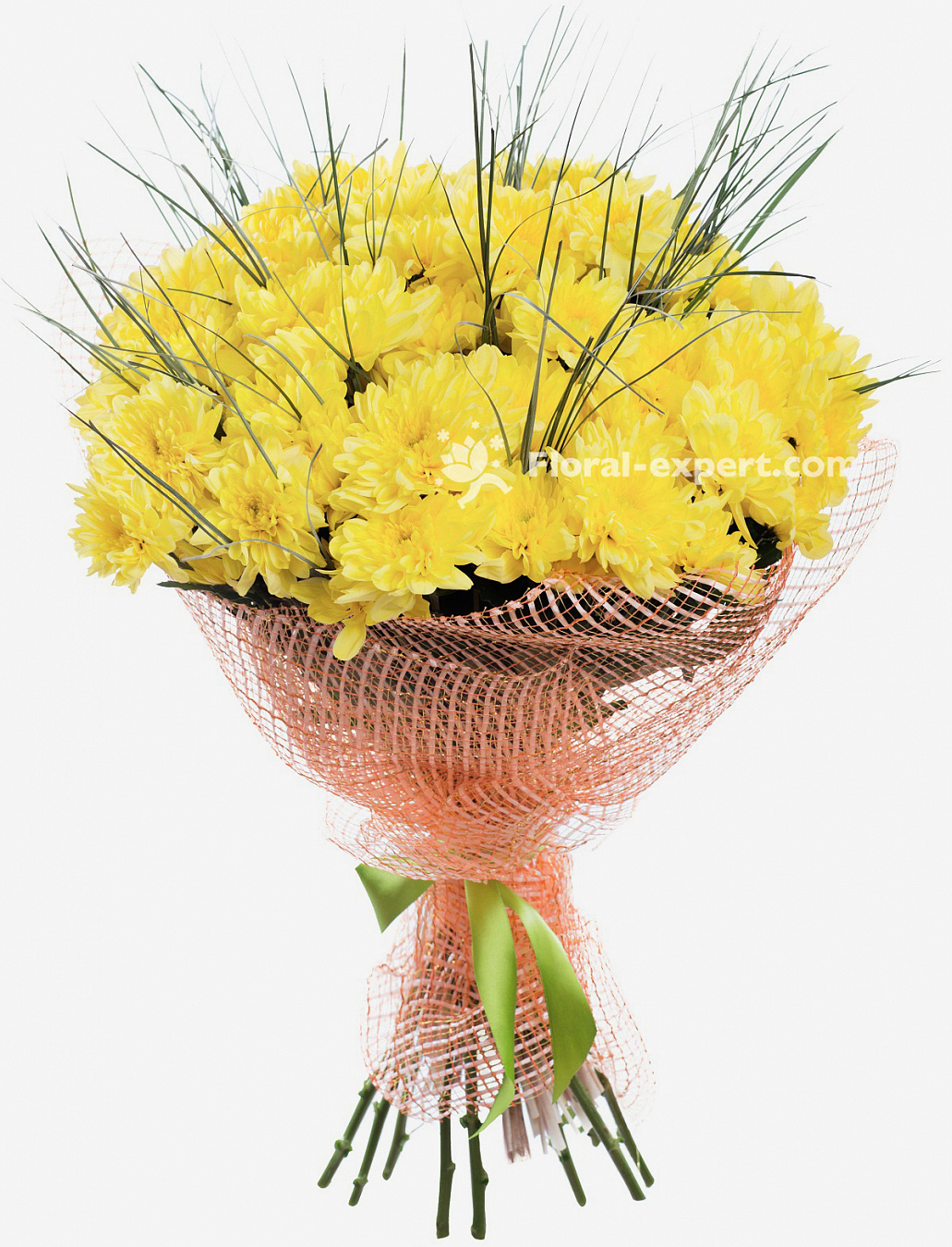 Chrysanthème jaune - Livraison fleurs et cadeau à Laval | Livraison de Chrysanthème  jaune avec votre fleuriste | Floral-expert